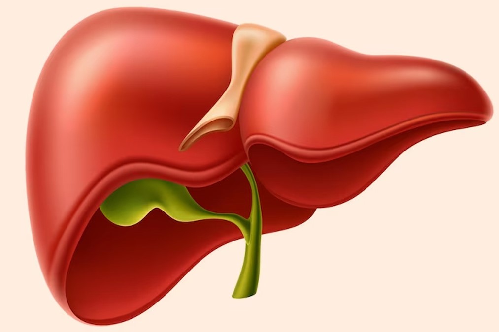 Robotic Surgery in Electronic City