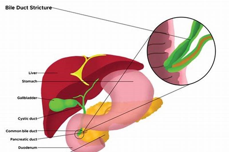 Robotic Surgery in Electronic City