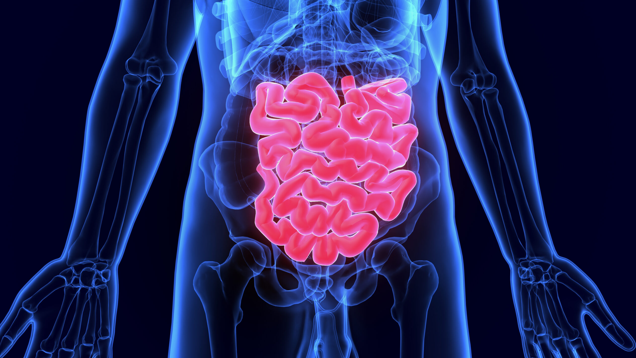 Small Intestine Disease Treatment in Electronic City