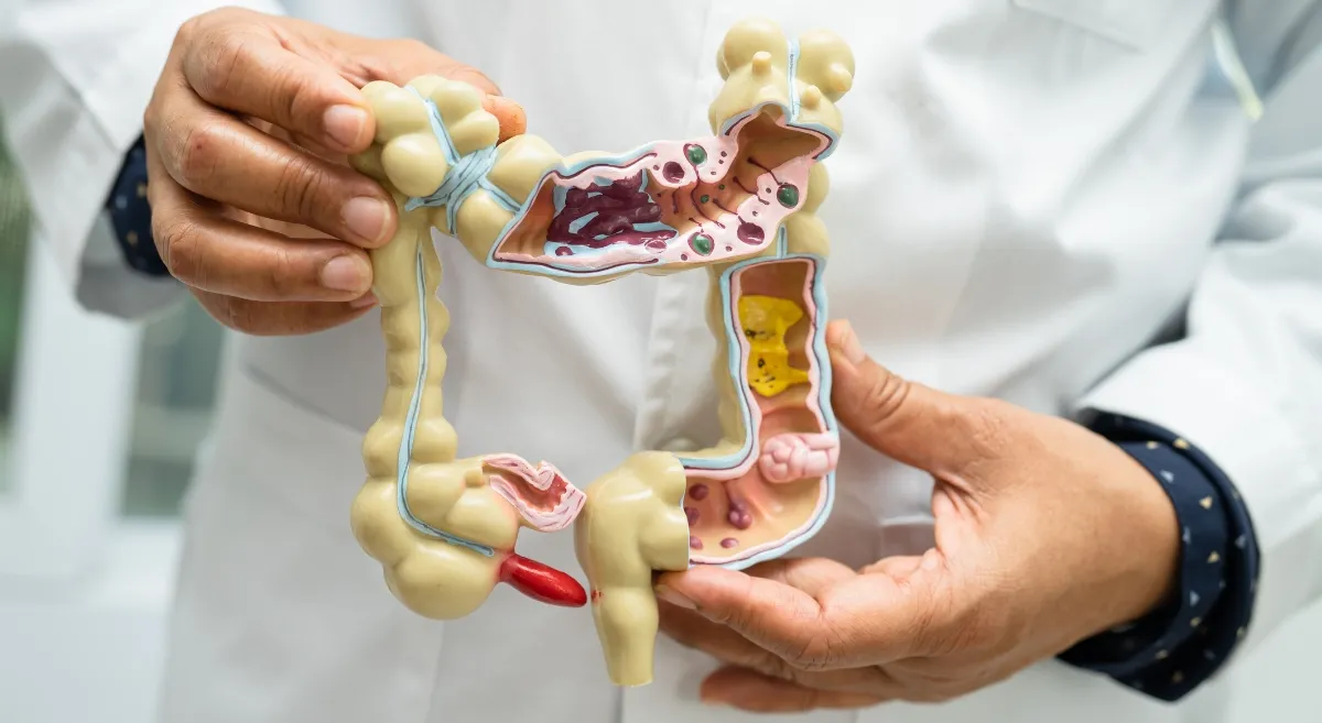 Gall Bladder Treatment in Electronic City