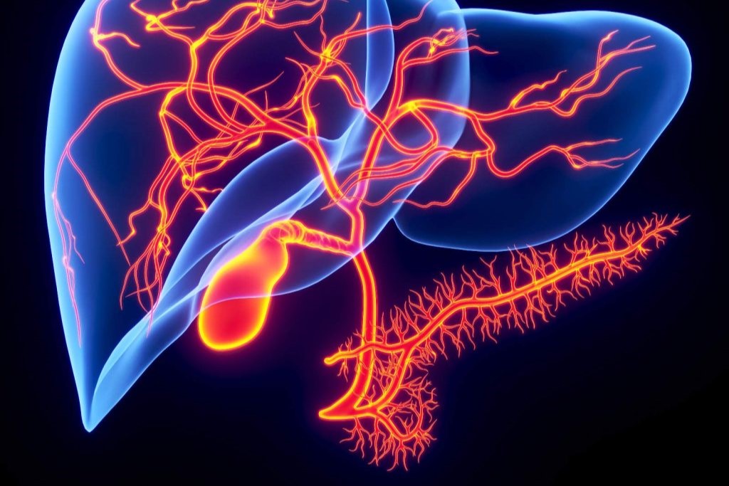 Expert Transplant Surgeon in Electronic CityExpert Transplant Surgeon in Electronic City