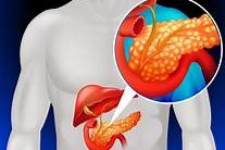 Expert Transplant Surgeon in Electronic CityExpert Transplant Surgeon in Electronic City