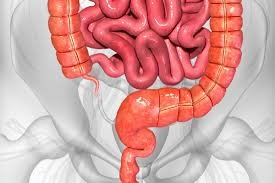 Expert Transplant Surgeon in Electronic CityExpert Transplant Surgeon in Electronic City