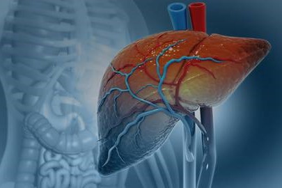 Expert Transplant Surgeon in Electronic CityExpert Transplant Surgeon in Electronic City