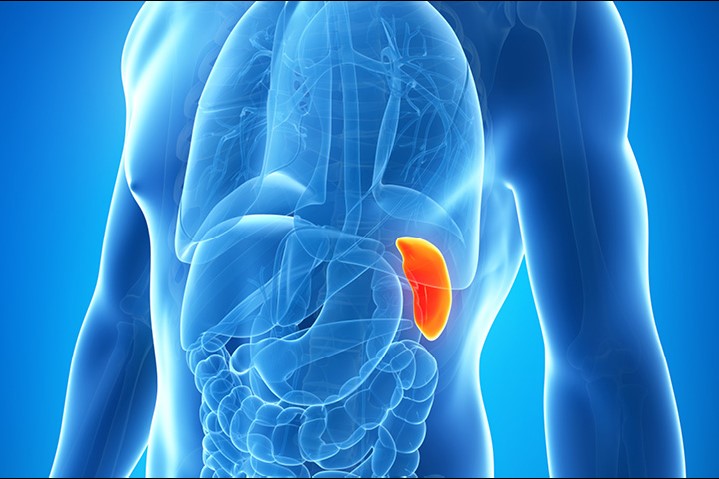 Expert Transplant Surgeon in Electronic CityExpert Transplant Surgeon in Electronic City