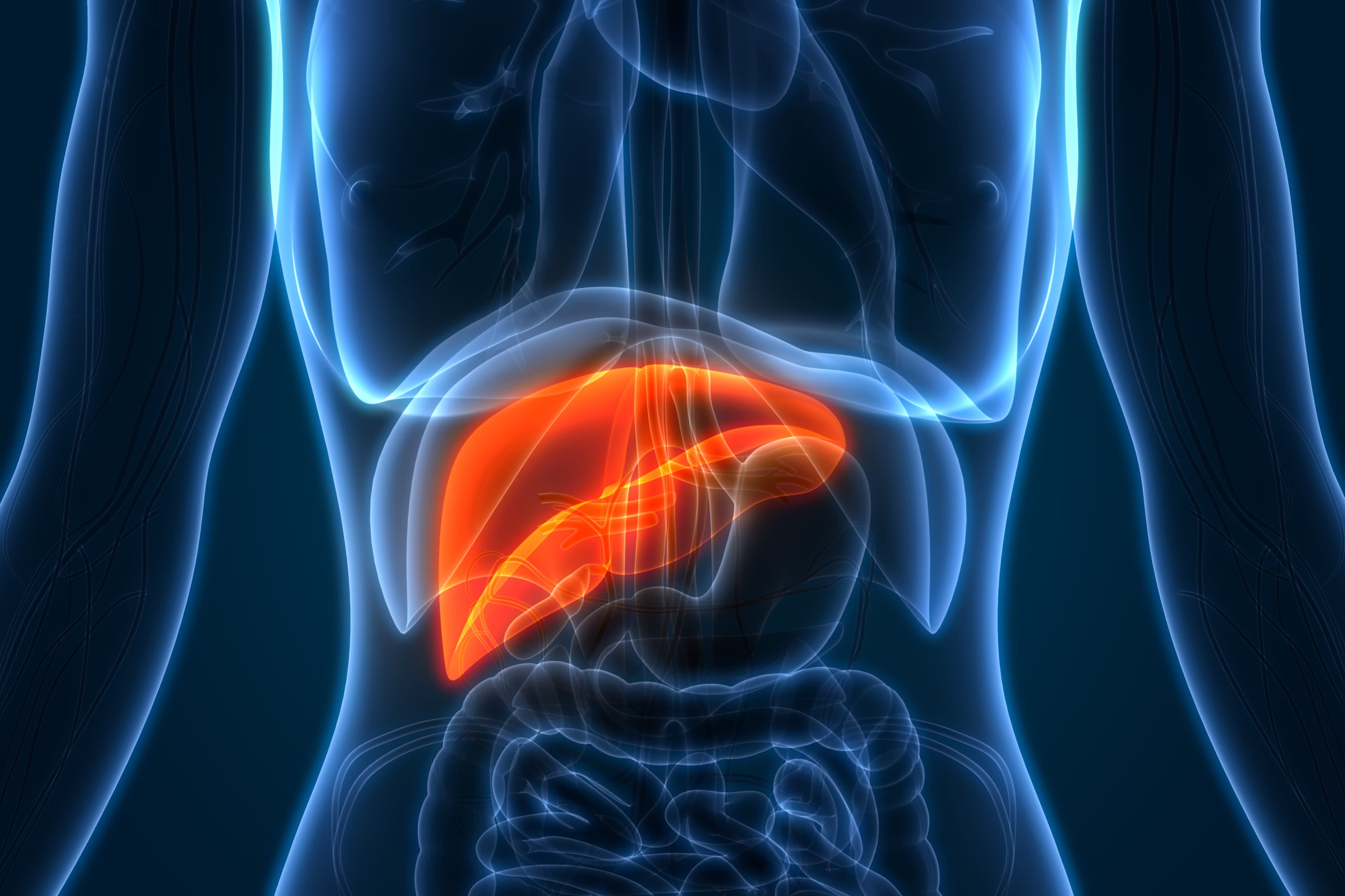 Expert Transplant Surgeon in Electronic CityExpert Transplant Surgeon in Electronic City